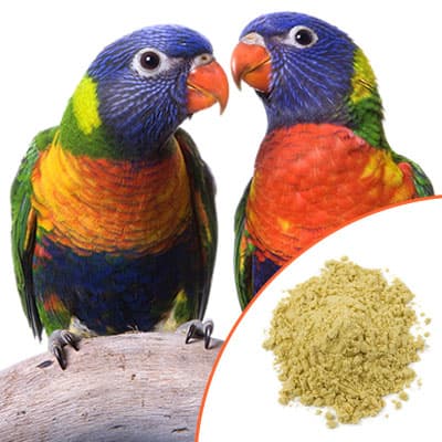Lories with Scenic Lory Food