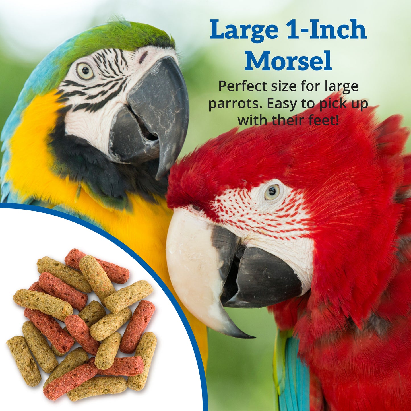 Scenic Jungle Food - Macaws & Large Parrots