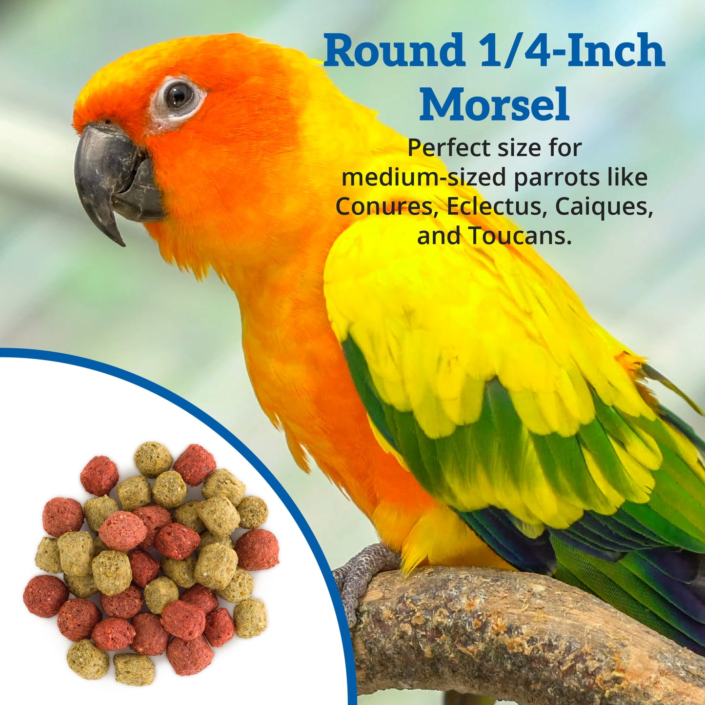 Scenic Paradise Food - Conures & Medium Parrots