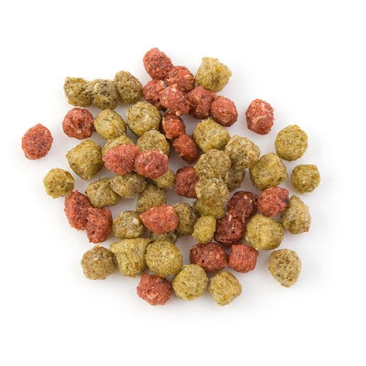 Scenic Allprem Food - Cockatiels, Parakeets, & Lories